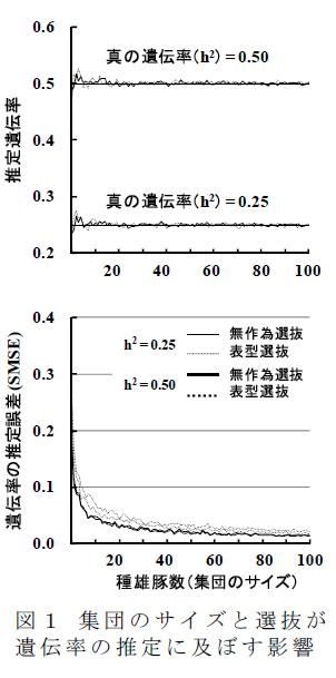 集団のサイズと選抜が遺伝率の推定に及ぼす影響