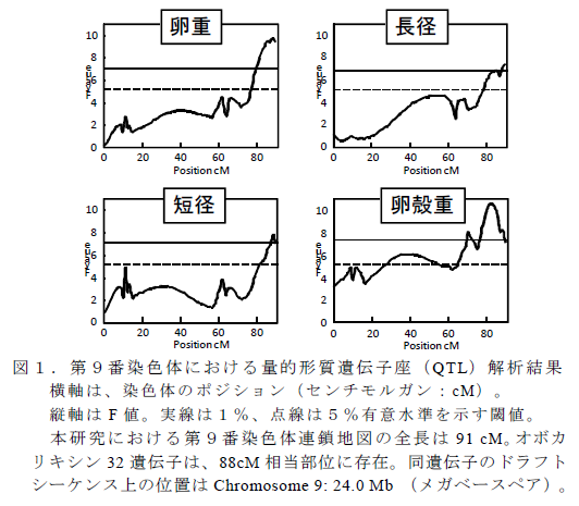 第9 番染色体における量的形質遺伝子座(QTL) 解析結果