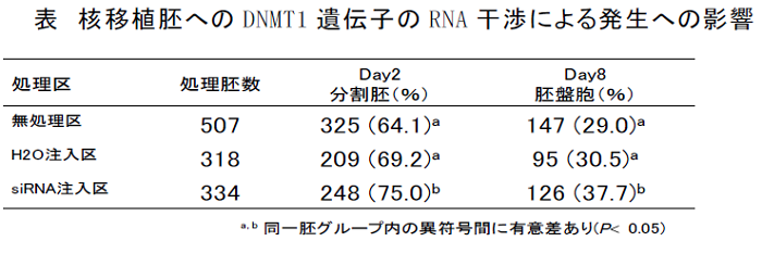 核移植胚へのDNMT1 遺伝子のRNA 干渉による発生への影響