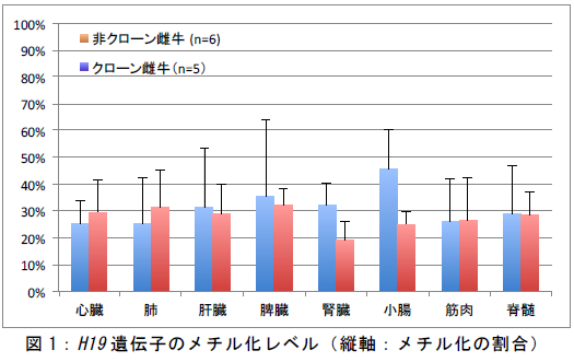 19 遺伝子のメチル化レベル