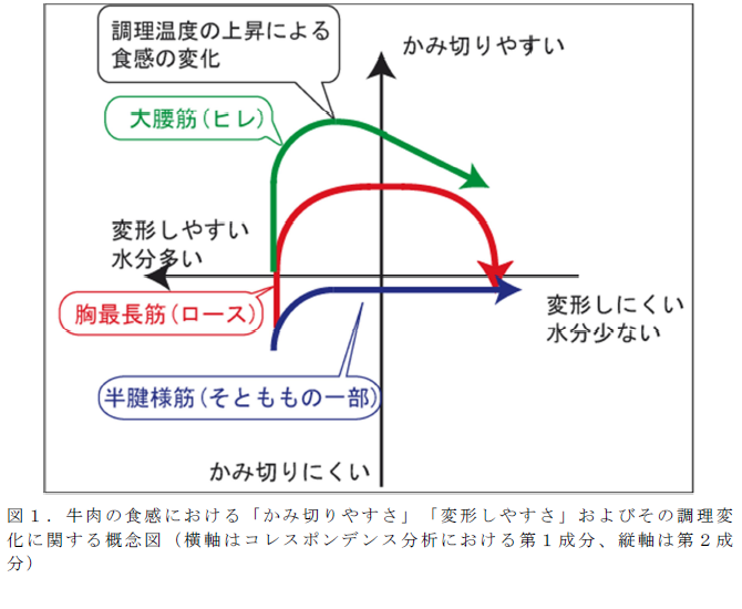 牛肉の食感における「かみ切りやすさ」「変形しやすさ」およびその調理変 化に関する概念図