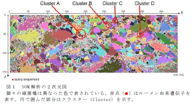 SOM 解析の2 次元図