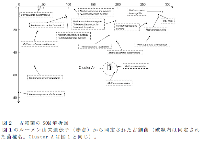 古細菌のSOM 解析図