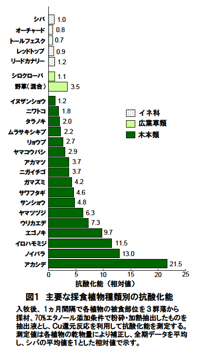 主要な採食植物種類別の抗酸化能