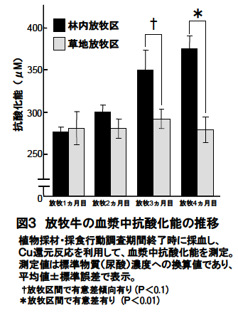 放牧牛の血漿中抗酸化能の推移