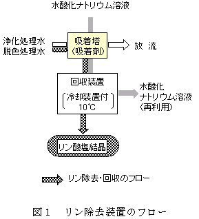 図1 リン除去装置のフロー