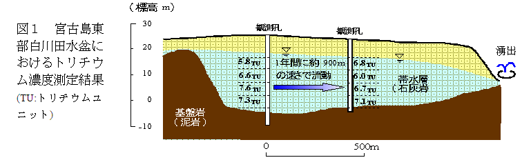 図1 宮古島東部白川田水盆におけるトリチウム濃度測定結果