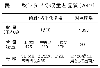 表1 秋レタスの収量と品質(2007)