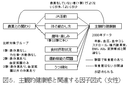 図5.主観的健康感と関連する因子図式(女性)