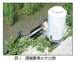図1 調査圃場の欠口部