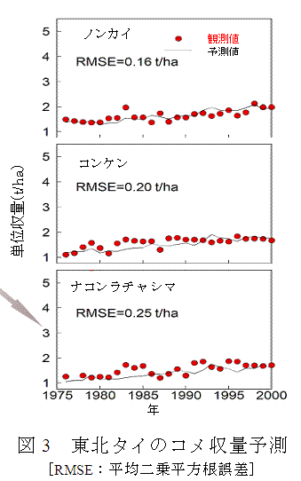 図3 東北タイの米収量予測