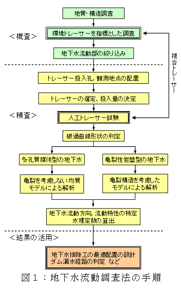 図1:地下水流動調査法の手順