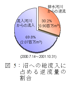 図5:沼への総流入に占める逆流量の割合