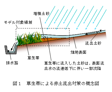図1 草生帯による赤土流出対策の概念図