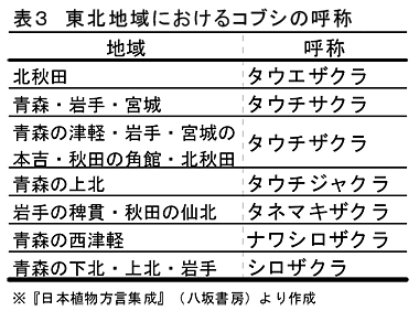 表3 東北地域におけるコブシの呼称