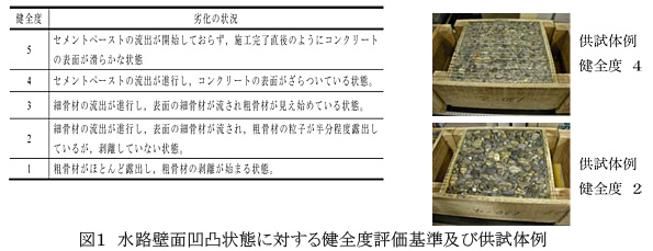図1 水路壁面凹凸状態に対する健全度評価基準及び供試体例