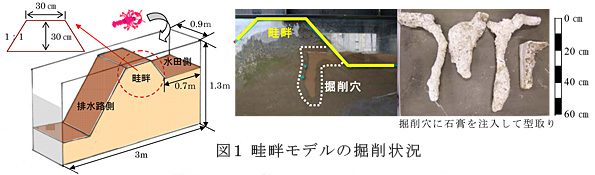 図1 畦畔モデルの掘削状況