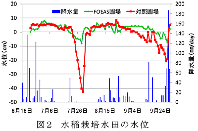 図2 水稲栽培水田の水位