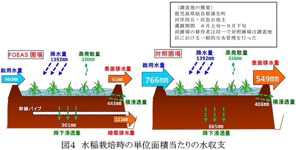図4 水稲栽培時の単位面積当たりの水収支