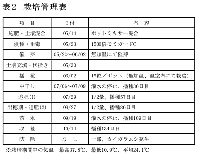 表2 栽培管理表