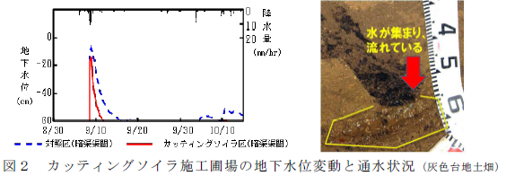 カッティングソイラ施工圃場の地下水位変動と通水状況