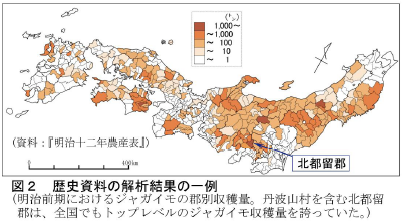 歴史資料の解析結果の一例