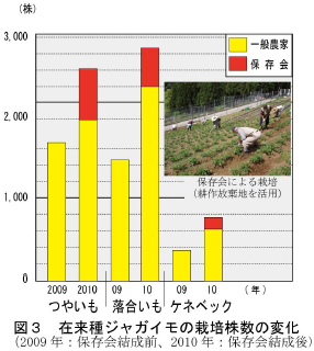 従来種ジャガイモの栽培株数の変化