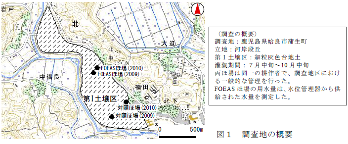 調査地の概要