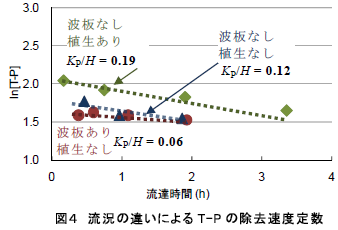 流況の違いによるT-P の除去速度定数
