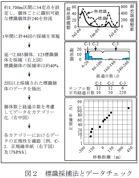 標識採捕法とデータチェック