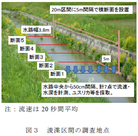 浚渫区間の調査地点