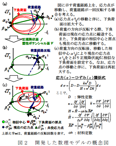 開発した数理モデルの概念図