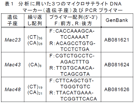 表1 分析に用いた3つのマイクロサテライトDNAマーカー(遺伝子座)及びPCR プライマー