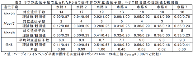 表2 3つの遺伝子座で見られたドジョウ個体群の対立遺伝子数、ヘテロ接合度の理論値と観測値