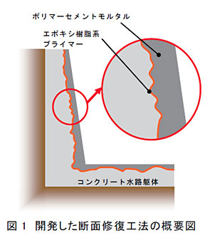 図1 開発した断面修復工法の概要図