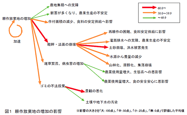 図1 耕作放棄地の増加の影響