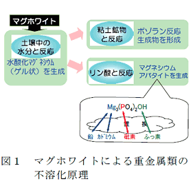 図1 マグホワイトによる重金属類の不溶化原理