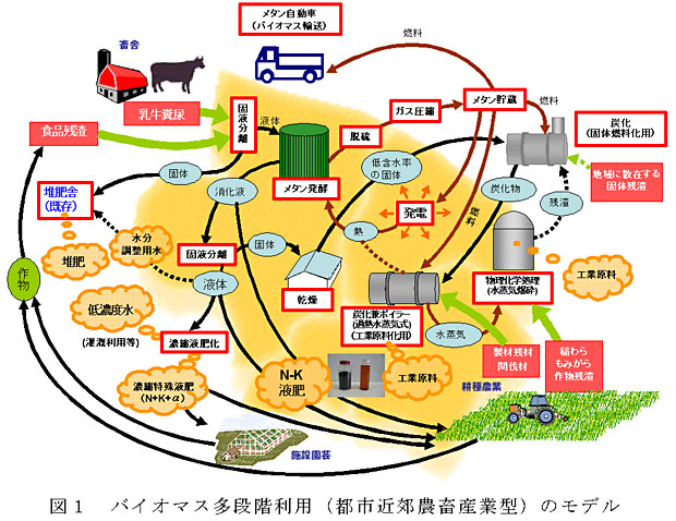 図1 バイオマス多段階利用のモデル