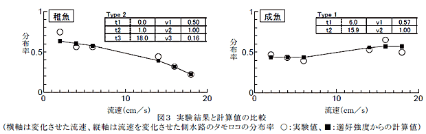 図3 実験結果と計算値の比較