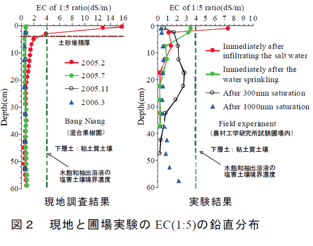 図2 現地と圃場実験のEC(1:5)の鉛直分布