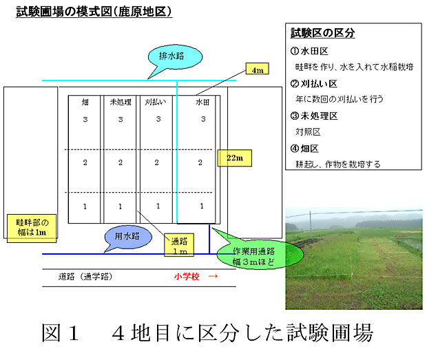 図1 4地目に区分した試験圃場