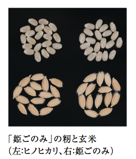「姫ごのみ」の籾と玄米
