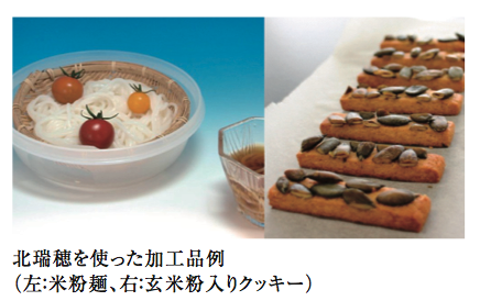 北瑞穂を使った加工品例