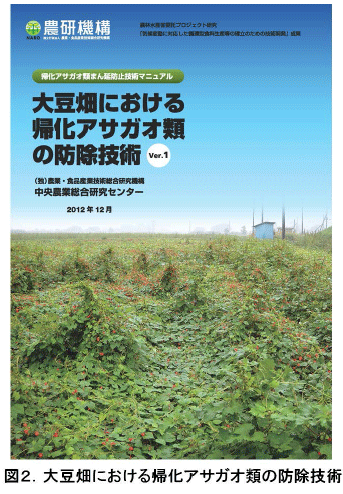 図2. 大豆畑における気化アサガオ類の防除技術