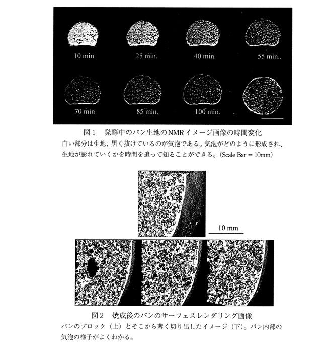 図1 発酵中のパン生地のNMRイメージ画像の時間変化