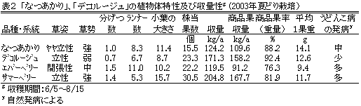 表2 「盛岡29号」、「盛岡31号」の植物体特性及び収量性