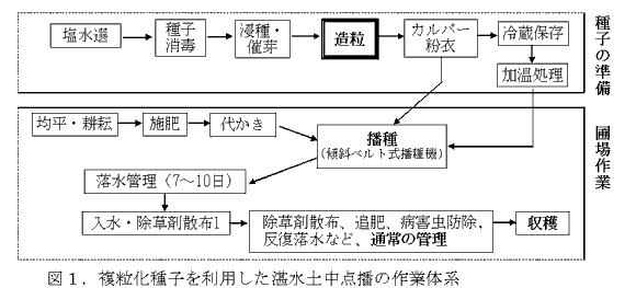 図1.複粒化種子を利用した湛水土中点播の作業体系