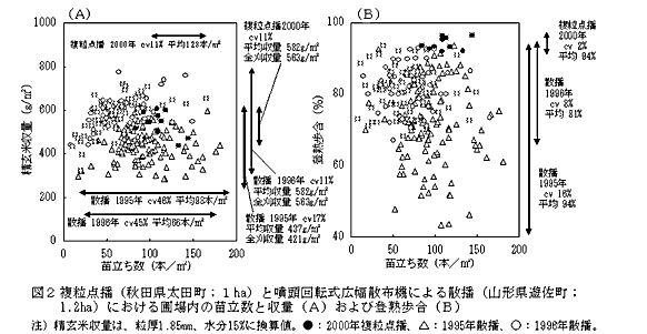 図2.複粒点播(秋田県太田町:1ha)と噴頭回転式広幅散布機による散播(山形県遊佐町:1.2ha)における圃場内の苗立数と収量(A)および登熟歩合(B)