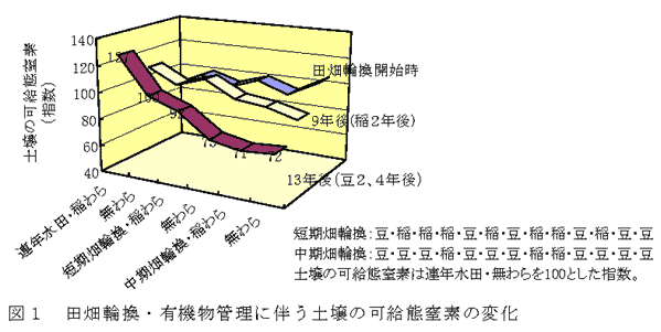 図1 田畑輪換・有機物管理に伴う土壌の可給態窒素の変化