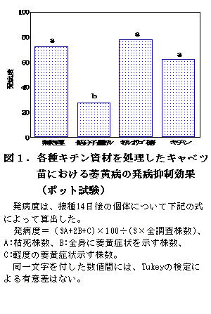 図1.各種キチン資材を処理したキャベツ 図2.各種キチン資材処理によるキャベ 苗における萎黄病の発病抑制効果